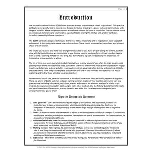 BDSM Contract