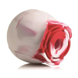 Bloomgasm Rose Lover Gift Box Swirl