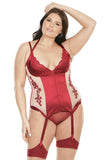 Satin & Sheer Underwired Bustier W/ Floral Applique