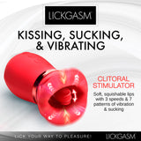Lickgasm Kiss Me More