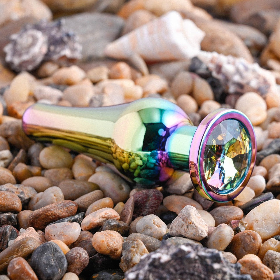 Evolved Rainbow Metal Anal Plug