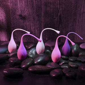 Evolved Tight & Delight Kegel Set