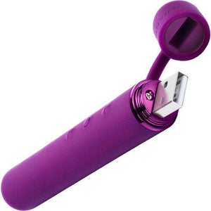 Le Wand Chrome Baton Rechargeable Silicone Mini Vibrator