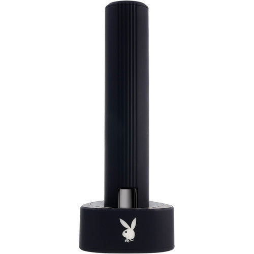 Playboy Pleasure Zone 2AM