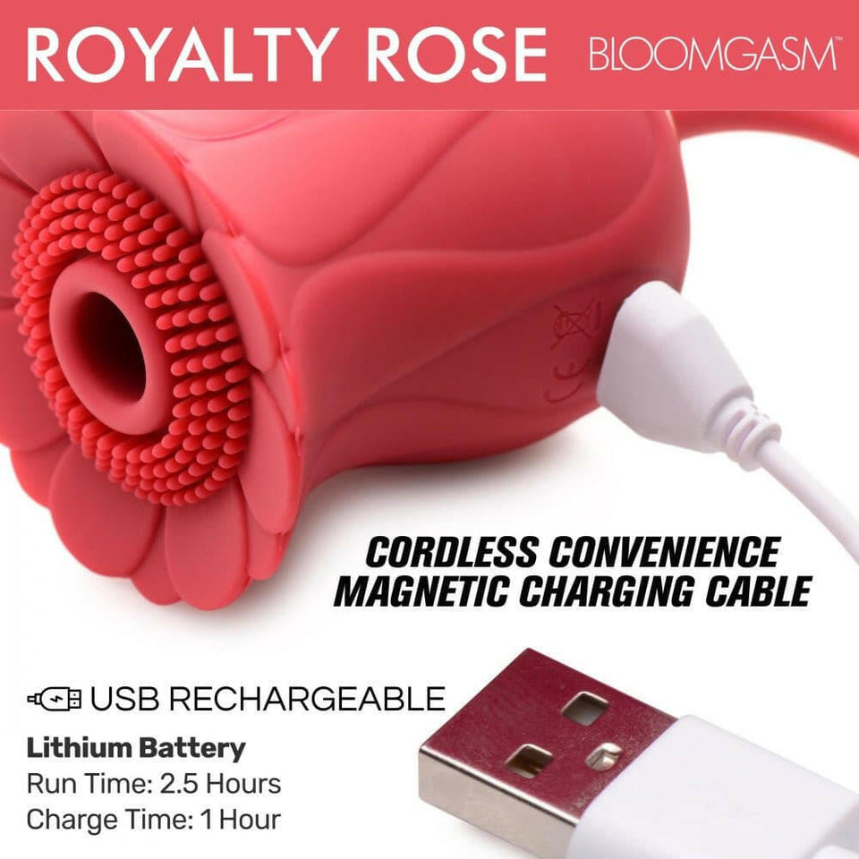 Bloomgasm Royalty Rose