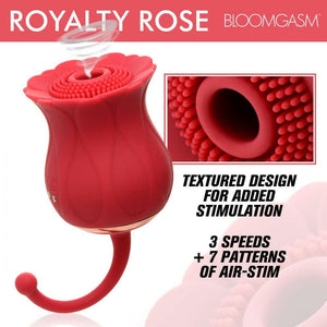 Bloomgasm Royalty Rose
