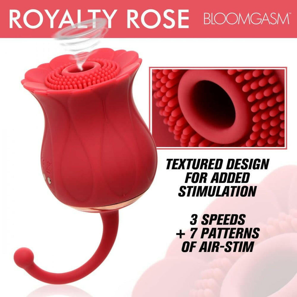 Bloomgasm Royalty Rose
