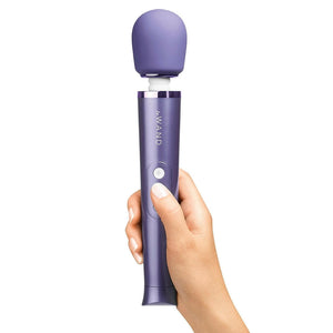 Le Wand Petite Rechargeable Massager