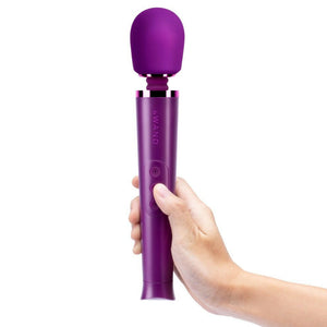 Le Wand Petite Rechargeable Massager