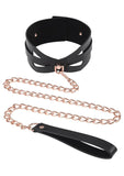 Brat Collar and Leash