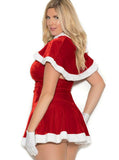 Mrs. Santa Christmas Costume