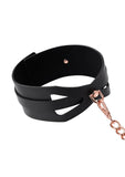 Brat Collar and Leash